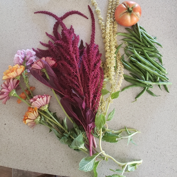 Meet your Posher, Rocío - Picture 5 of 8